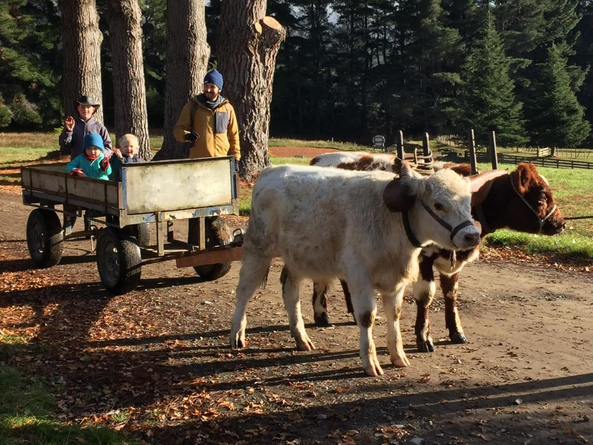 Mohaka River Farm Te Haroto Ngoại thất bức ảnh