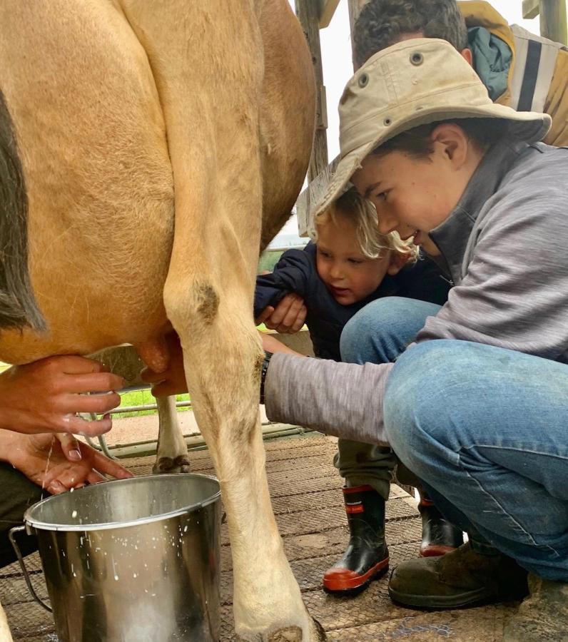 Mohaka River Farm Te Haroto Ngoại thất bức ảnh