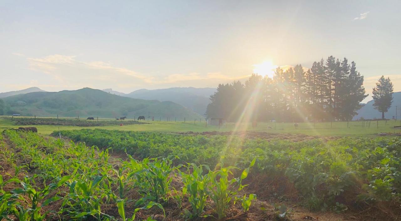 Mohaka River Farm Te Haroto Ngoại thất bức ảnh